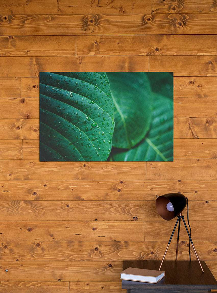 Quadro in tela canvas "Natura"