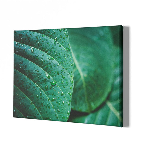 Canvas painting "Nature"